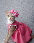 Barbie | Pet dress