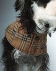 Sherlock cloak