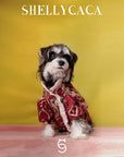 Coronation | Pet top