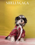 Coronation | Pet top