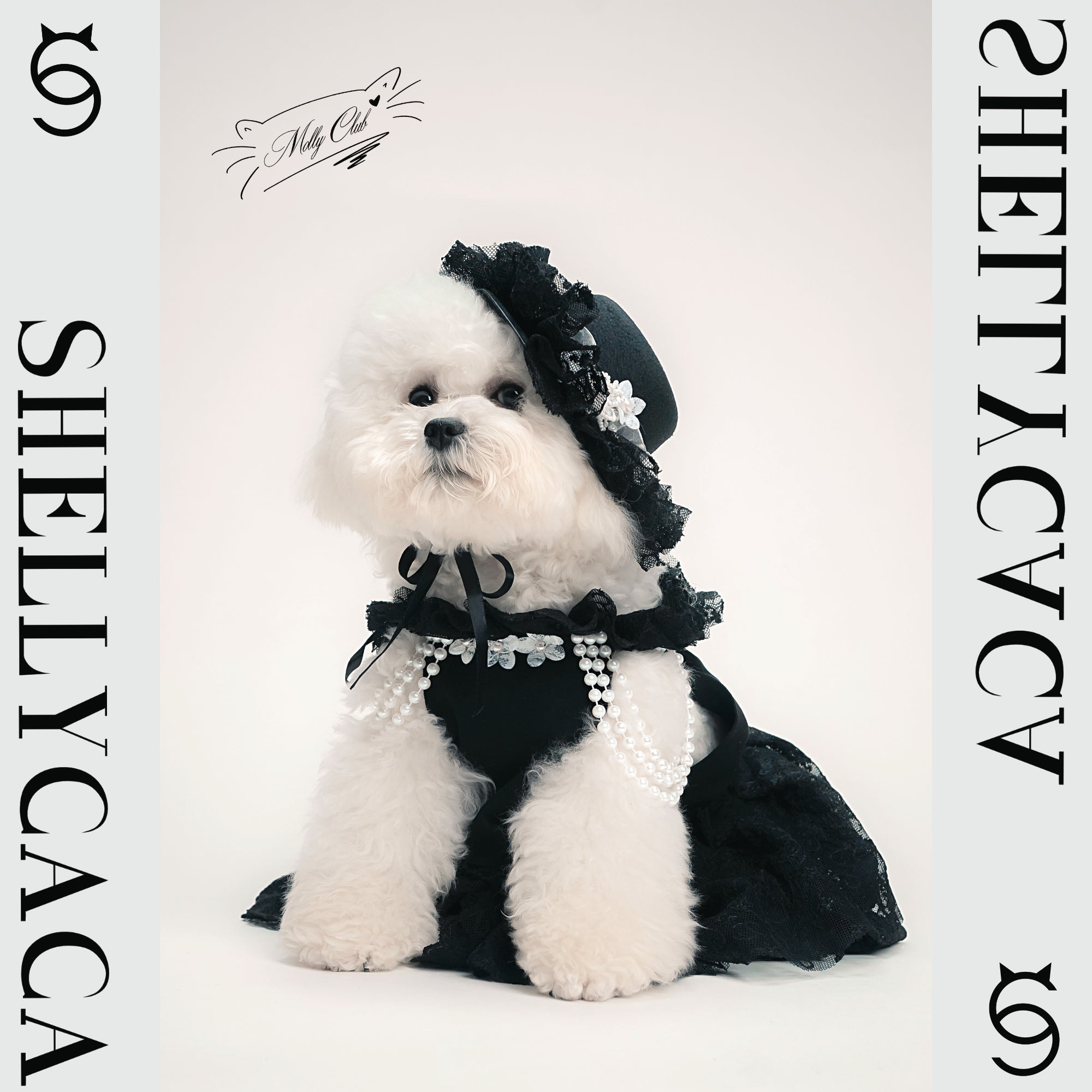 Where Pet Fashion meets timeless elegance