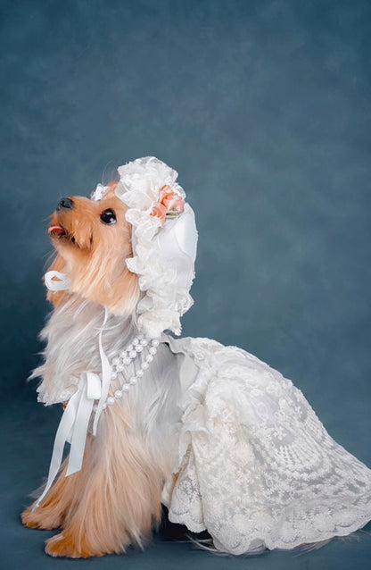 Pets fashion | Countess White