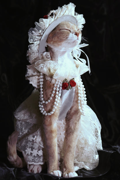 Pets fashion | Countess White